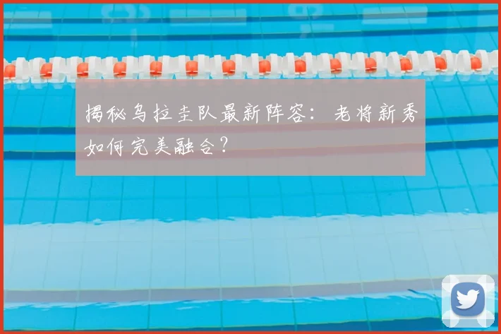 揭秘乌拉圭队最新阵容：老将新秀如何完美融合？