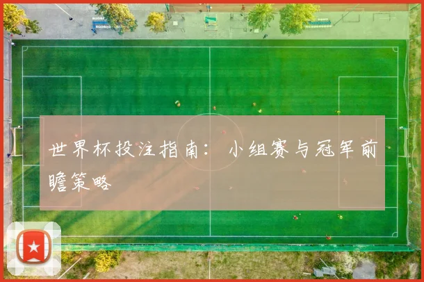世界杯投注指南：小组赛与冠军前瞻策略